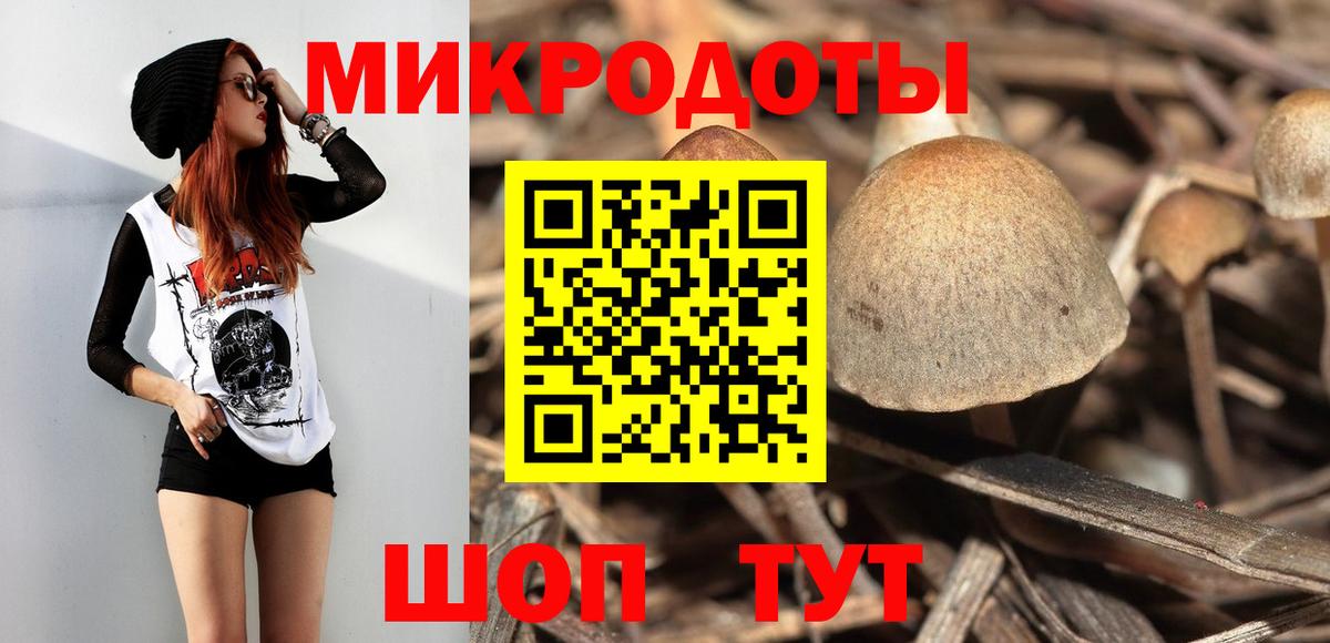 Псилоцибиновые грибы Psilocybe  наркошоп  Скопин  Вход с VPN 